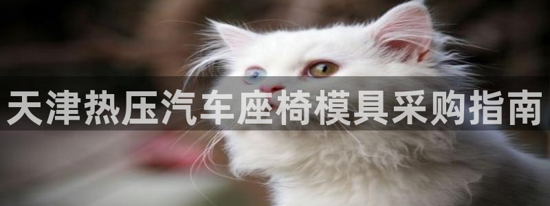 emc易贝体育怎么样：天津热压汽车座椅模具采购指南