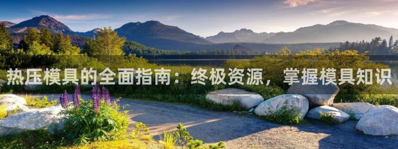 易倍申片的功效与作用：热压模具的全面指南：终极资源，掌握