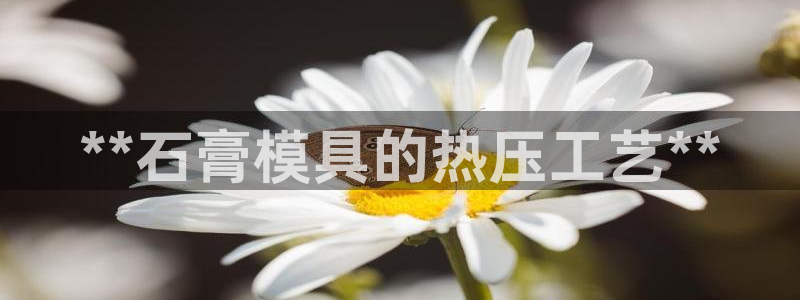 易倍申片能长期服用吗：**石膏模具的热压工艺**