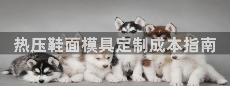 易倍网络技术有限公司招聘：热压鞋面模具定制成本指南