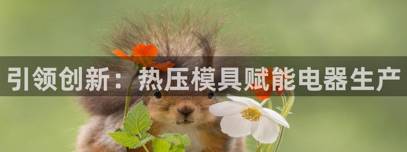 emc频率范围：引领创新：热压模具赋能电器生产