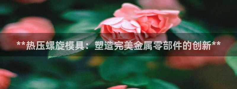 emc倍频只能是奇数倍吗：**热压螺旋模具：塑造完美金属