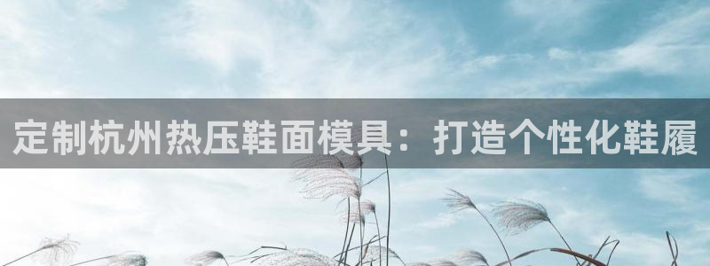 易倍网络技术有限公司招聘：定制杭州热压鞋面模具：打造个性