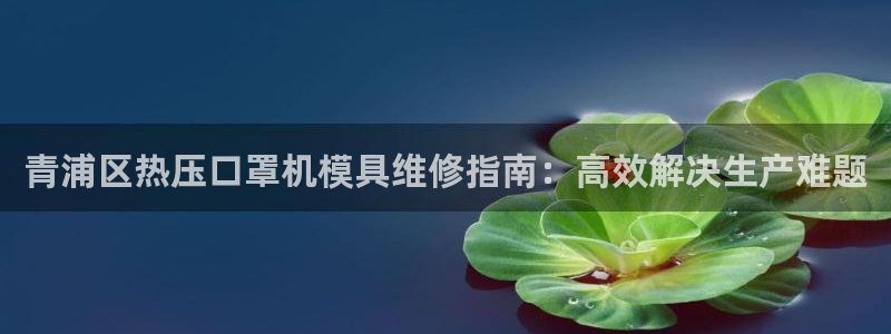 EMC易倍官方网址：青浦区热压口罩机模具维修指南：高效解