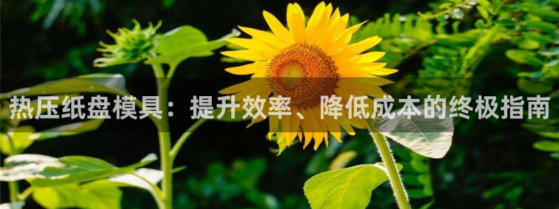 emc备份软件：热压纸盘模具：提升效率、降低成本的终极指