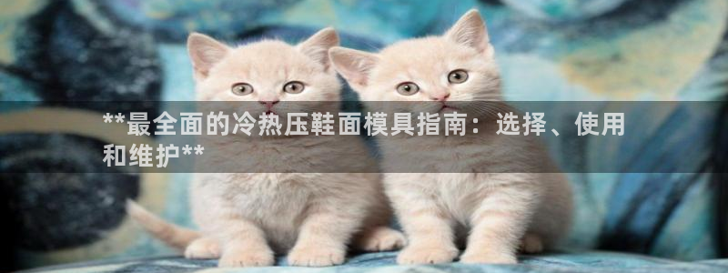 emc易倍登录：**最全面的冷热压鞋面模具指南：选择、使