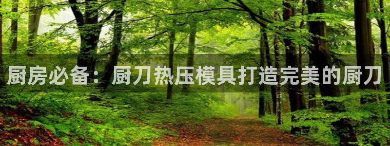 易倍单词app官网：厨房必备：厨刀热压模具打造完美的厨刀