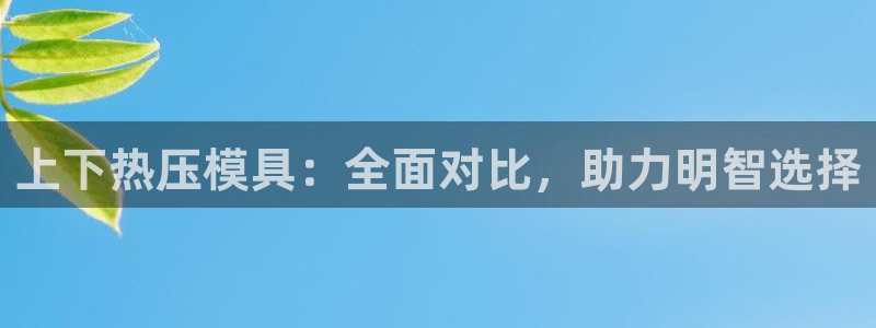 易倍思怎么样：上下热压模具：全面对比，助力明智选择