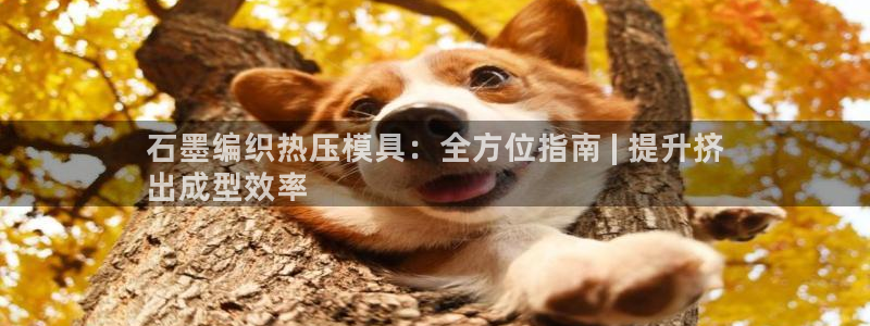 易倍emc全站：石墨编织热压模具：全方位指南 | 提升挤