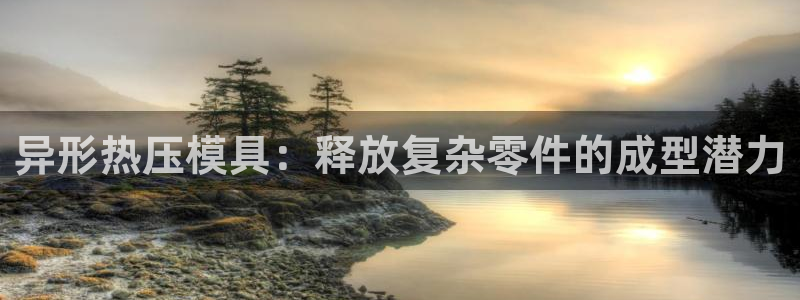 易倍申是进口药吗：异形热压模具：释放复杂零件的成型潜力