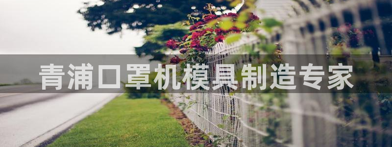 易倍申在中国成功上市：青浦口罩机模具制造专家