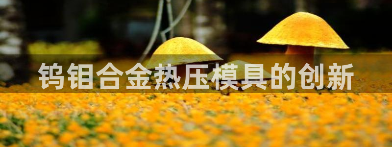 易倍申效果怎么样：钨钼合金热压模具的创新
