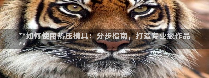 易倍emc网址：**如何使用热压模具：分步指南，打造专业
