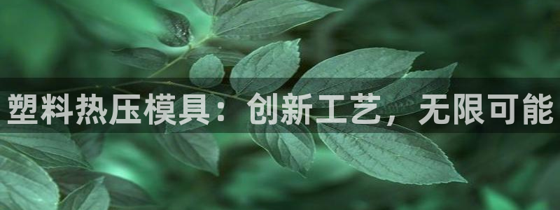 易倍申片的功效与作用：塑料热压模具：创新工艺，无限可能