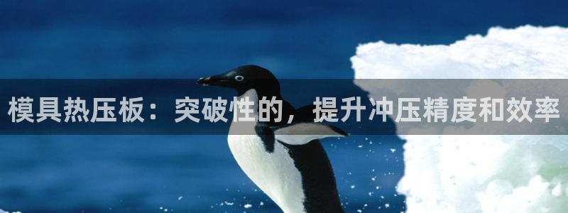 易倍单词软件：模具热压板：突破性的，提升冲压精度和效率