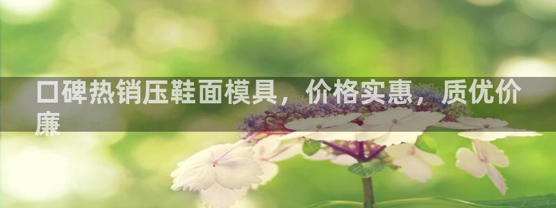 emc备份软件：口碑热销压鞋面模具，价格实惠，质优价
廉