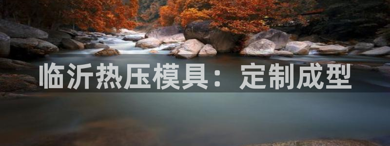 emc易倍全站：临沂热压模具：定制成型