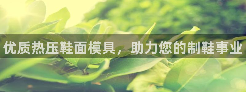 emc登录网站：优质热压鞋面模具，助力您的制鞋事业