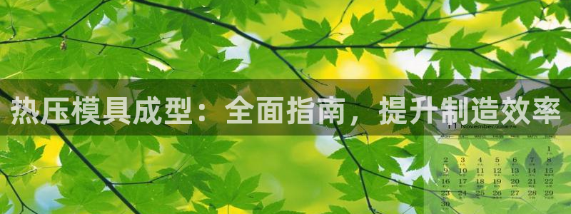 易倍网络技术有限公司官网：热压模具成型：全面指南，提升制
