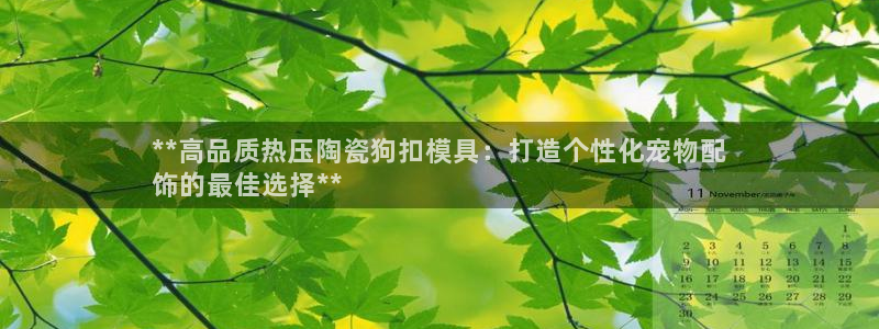 易倍申的副作用：**高品质热压陶瓷狗扣模具：打造个性化宠