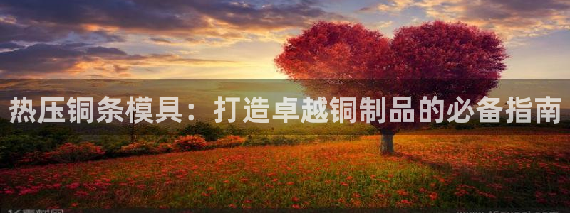 易倍emc网址网页版本登陆：热压铜条模具：打造卓越铜制品