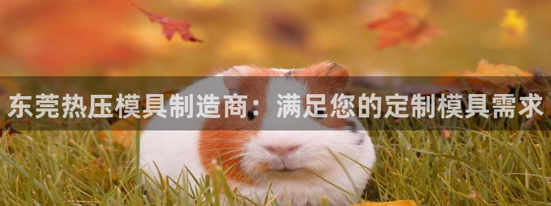 易倍单词平台：东莞热压模具制造商：满足您的定制模具需求