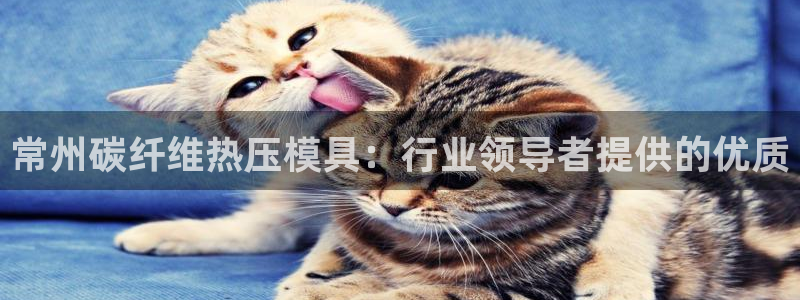 易倍申有用吗：常州碳纤维热压模具：行业领导者提供的优质