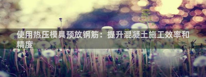 易倍纤代餐粉能减肥吗：使用热压模具预放钢筋：提升混凝土施