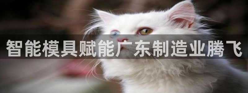 易倍网页版登录：智能模具赋能广东制造业腾飞