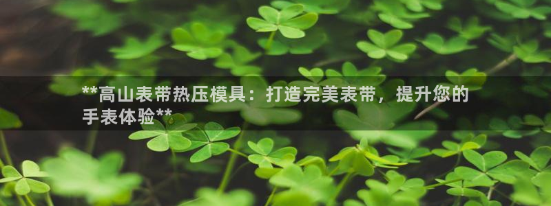 易倍康简历：**高山表带热压模具：打造完美表带，提升您的