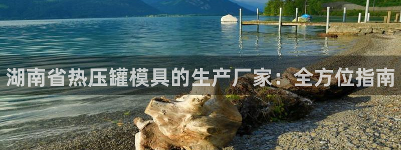 易倍申价格：湖南省热压罐模具的生产厂家：全方位指南