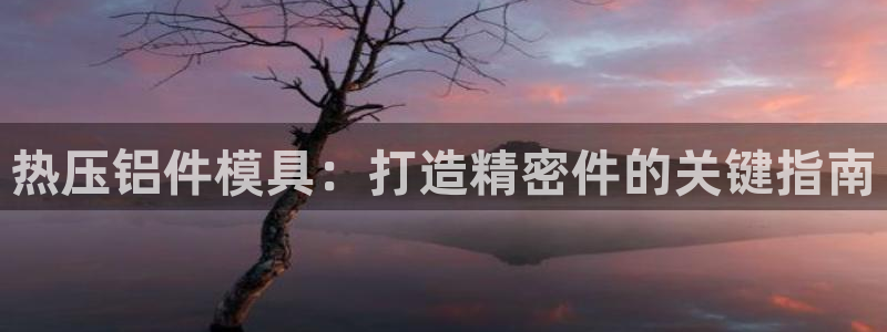 易倍单词如何下载：热压铝件模具：打造精密件的关键指南