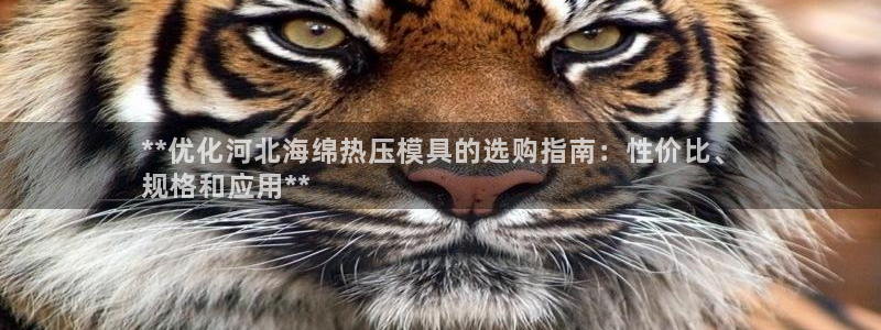 emc32软件安装：**优化河北海绵热压模具的选购指南：