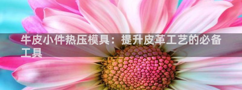 易倍纤多少钱：牛皮小件热压模具：提升皮革工艺的必备
工具