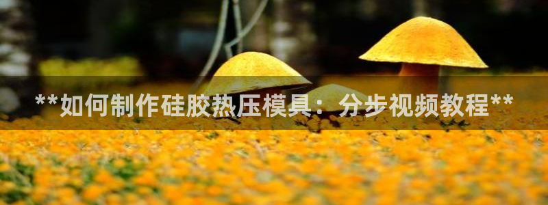 emc倍频干扰：**如何制作硅胶热压模具：分步视频教程*