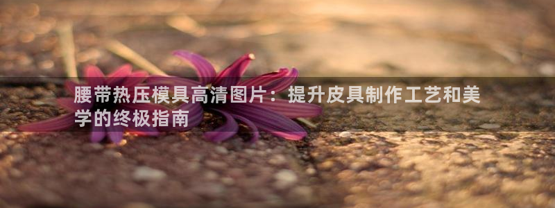emc易倍怎么样：腰带热压模具高清图片：提升皮具制作工艺
