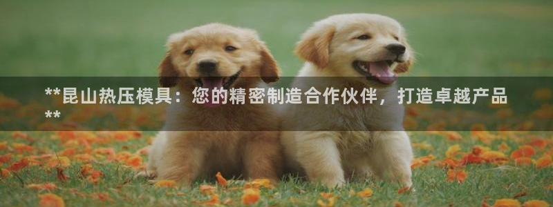 emc全站app下载：**昆山热压模具：您的精密制造合作