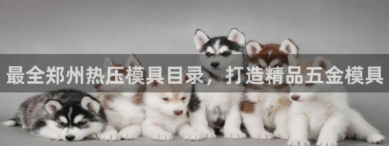 易倍易倍单词官方网站：最全郑州热压模具目录，打造精品五金
