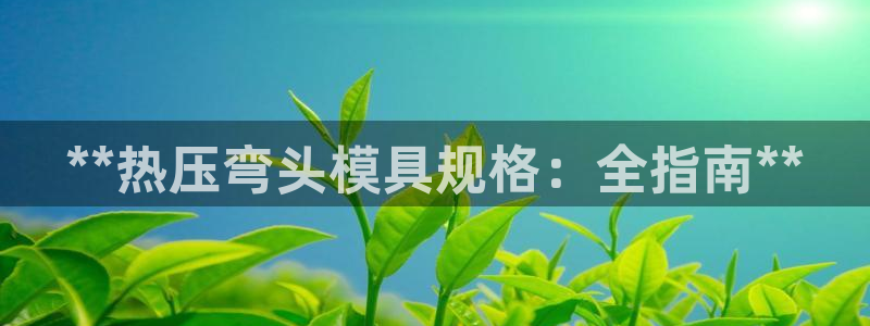 易倍申厂家：**热压弯头模具规格：全指南**