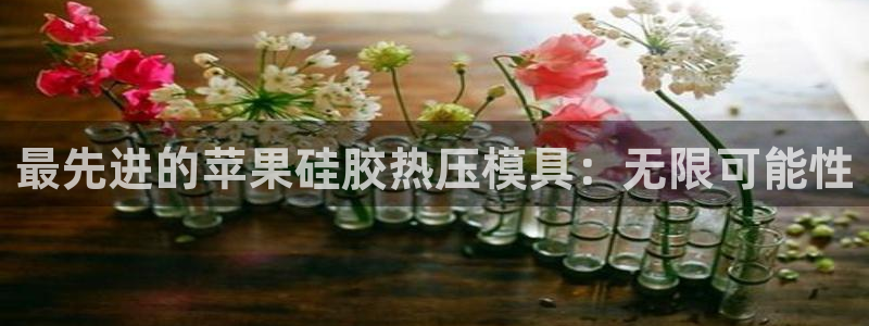 易倍英语官方网站登录：最先进的苹果硅胶热压模具：无限可能