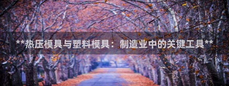 低频的emc用什么滤波：**热压模具与塑料模具：制造业中