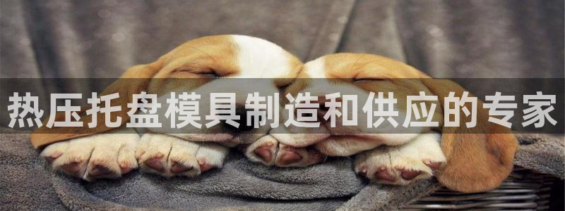 易倍申效果怎么样：热压托盘模具制造和供应的专家
