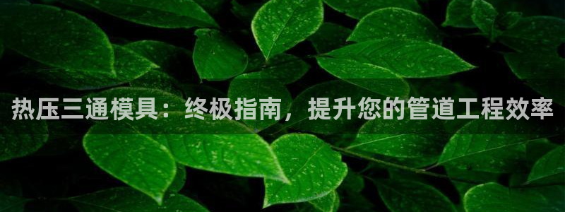 emc易倍官网首页进入：热压三通模具：终极指南，提升您的