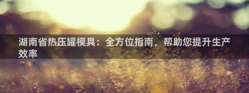 易倍申的副作用：湖南省热压罐模具：全方位指南，帮助您提升