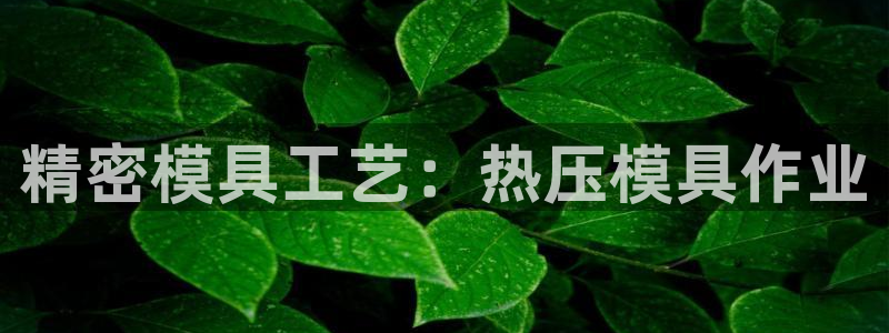 emc易倍官网app下载：精密模具工艺：热压模具作业