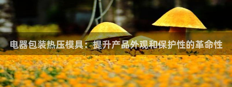 emc服务器是什么：电器包装热压模具：提升产品外观和保护