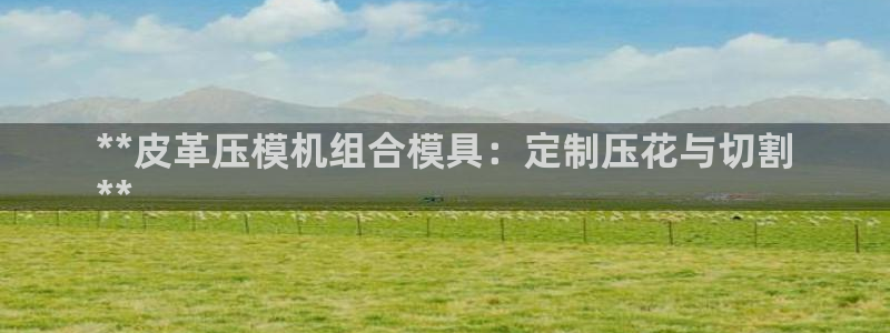 易倍单词平台：**皮革压模机组合模具：定制压花与切割
*