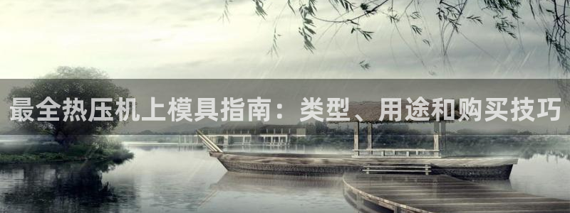 emc备份软件：最全热压机上模具指南：类型、用途和购买技