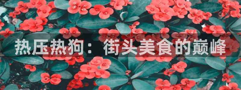 北京易倍思教育怎么样：热压热狗：街头美食的巅峰
