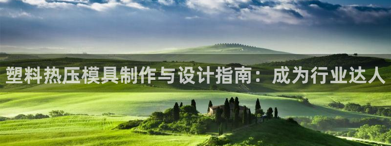 易倍网络技术有限公司是干嘛的：塑料热压模具制作与设计指南